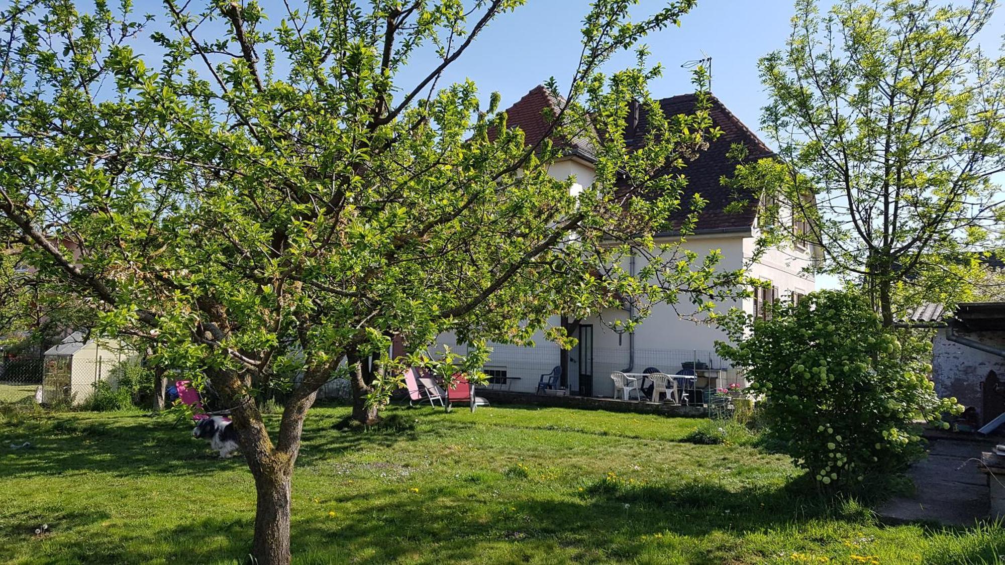 Maison Les 3 Roses Wolfisheim Екстериор снимка