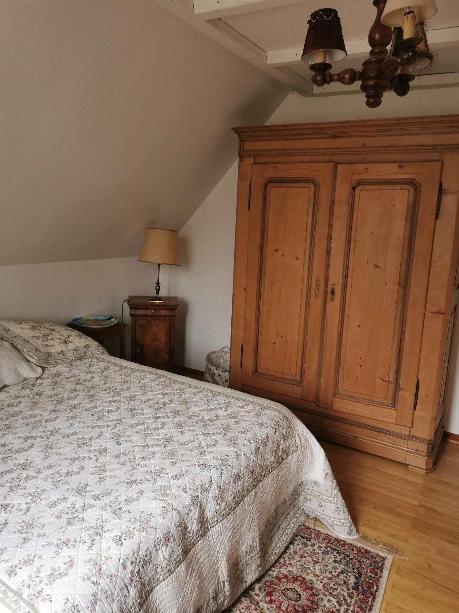 Maison Les 3 Roses Wolfisheim Екстериор снимка